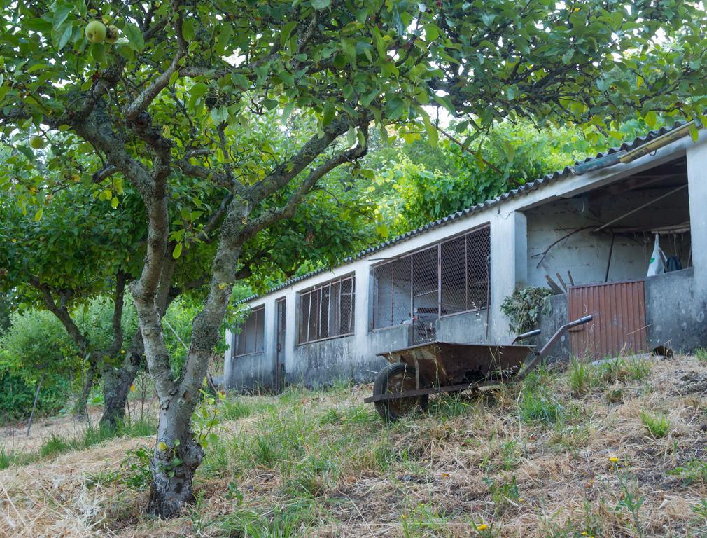Quinta Das Leiras サント・ティルソ エクステリア 写真