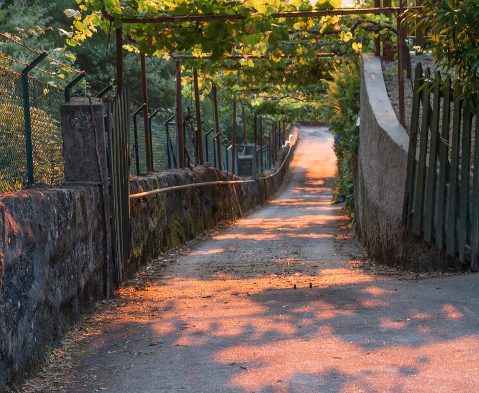 Quinta Das Leiras サント・ティルソ エクステリア 写真